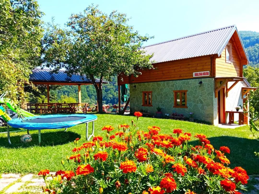 Kraljska Koliba - Kralje'S Cottage Andrijevica Luaran gambar