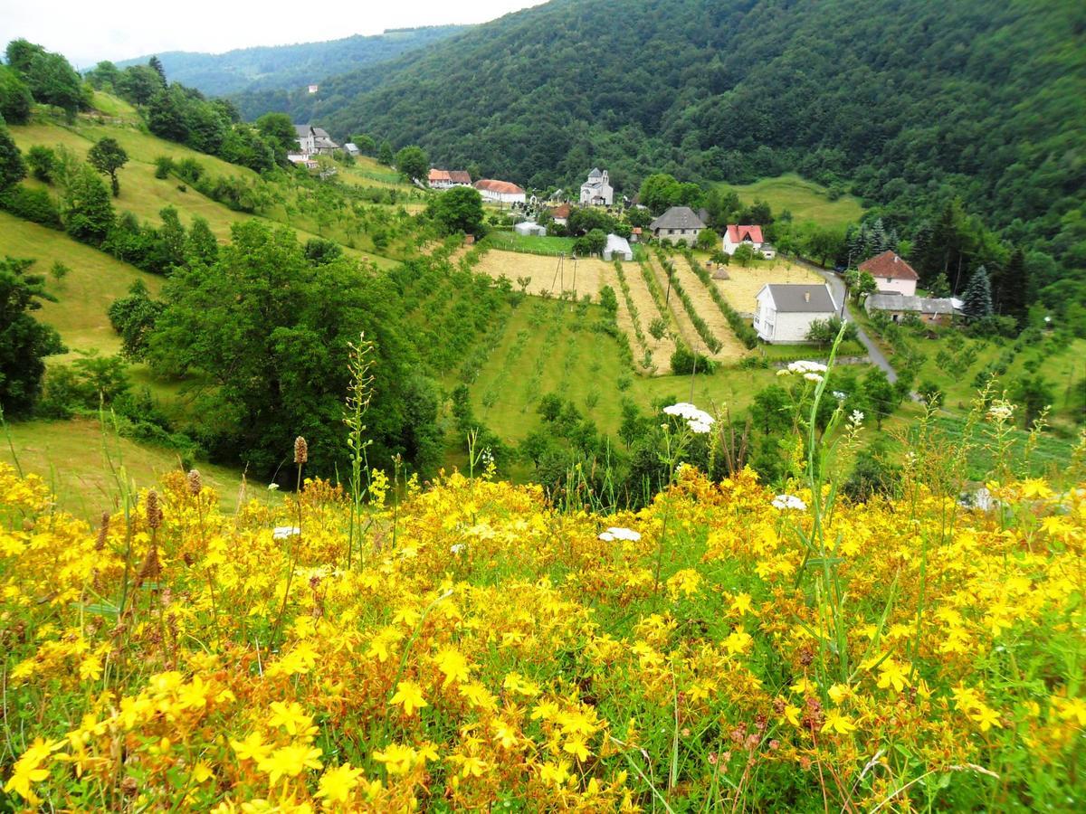 Kraljska Koliba - Kralje'S Cottage Andrijevica Luaran gambar
