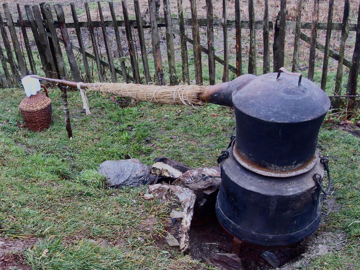 Kraljska Koliba - Kralje'S Cottage Andrijevica Luaran gambar