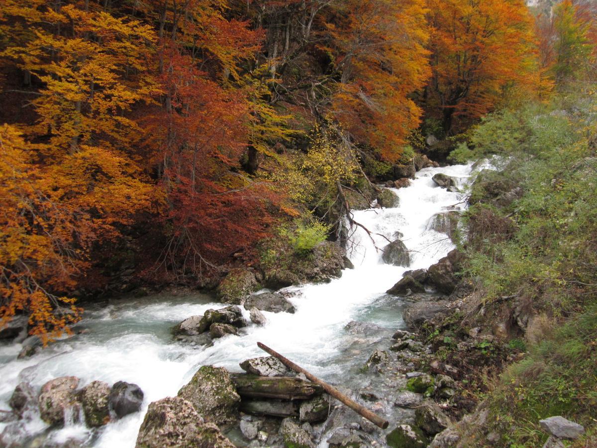 Kraljska Koliba - Kralje'S Cottage Andrijevica Luaran gambar