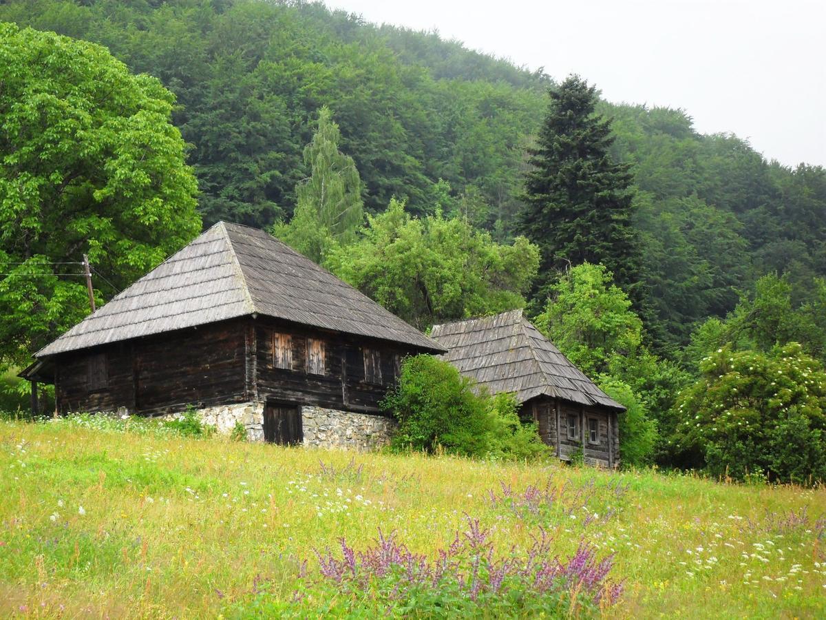 Kraljska Koliba - Kralje'S Cottage Andrijevica Luaran gambar
