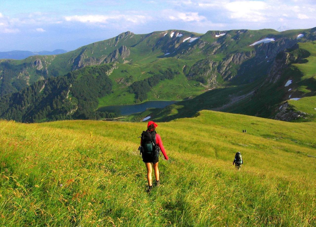 Kraljska Koliba - Kralje'S Cottage Andrijevica Luaran gambar